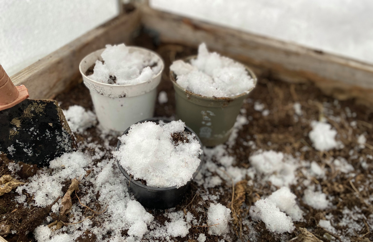 Tre krukor med jord och sn&ouml;.